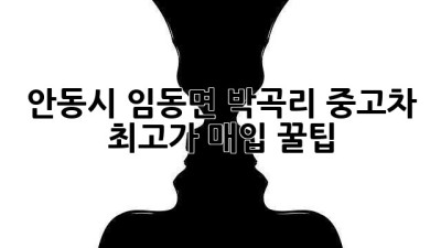 안동시 임동면 박곡리 중고차 최고가 매입 꿀팁!