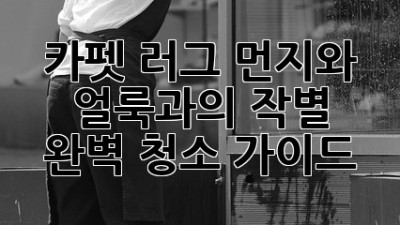 카펫 러그, 먼지와 얼룩과의 작별! 완벽 청소 가이드