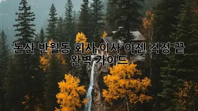 논산 반월동 회사 이사, 이젠 걱정 끝! 완벽 가이드
